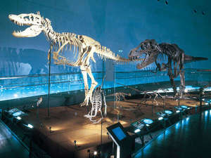 恐竜博物館プラン